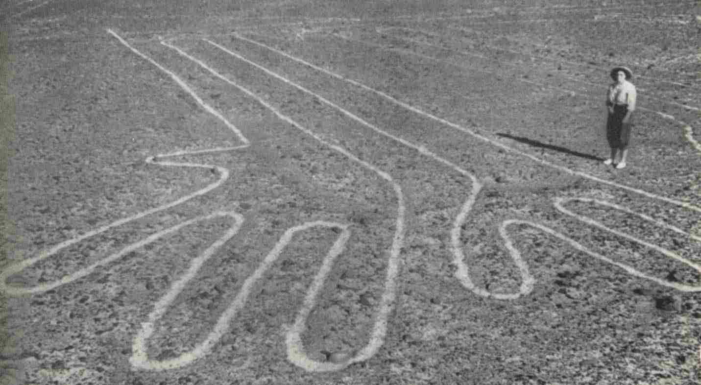 Nazca Lines Of Peru More Complex Than You May Think Hidden Inca Tours