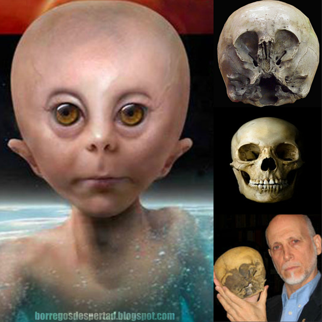 Conferencia Lloyd Pye - Craneo Starchild Skull, NO HUMANO ¿ET - Hidden Inca  Tours
