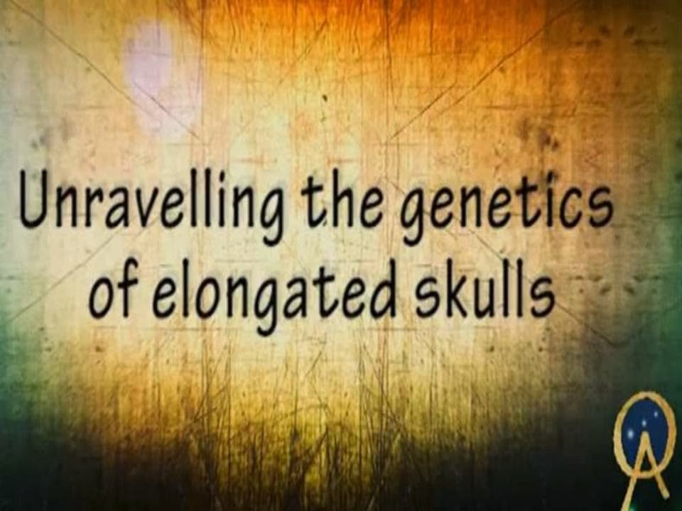 Genetics of Elongated Human Skulls
