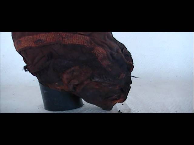 Amazing Paracas Peru Baby Elongated Skull - Hidden Inca Tours