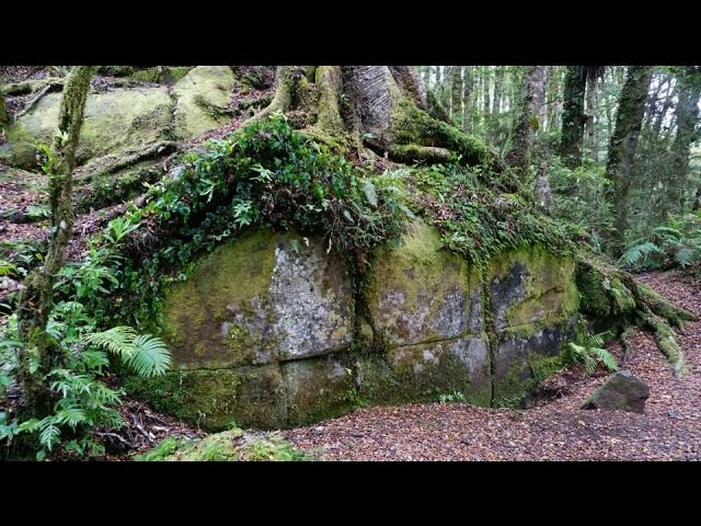 The Mysterious Ancient Kaimanawa Wall Of Aotearoa New Zealand 