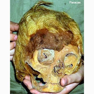 01 paracas blonde hair skull