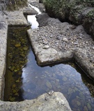 13996095524_017fc65852_1200x1200