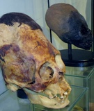 1IMG_0090-800x577_1200x1200