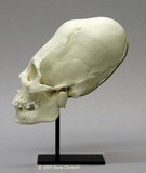 1e8372bd7fa5a757980d47d8e64cefd7f_1200x1200