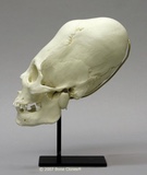 1e8372bd7fa5a757980d47d8e64cefd7f_1200x1200 (1)