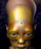 51533612_10202743021085020_1404211614_n_1200x1200