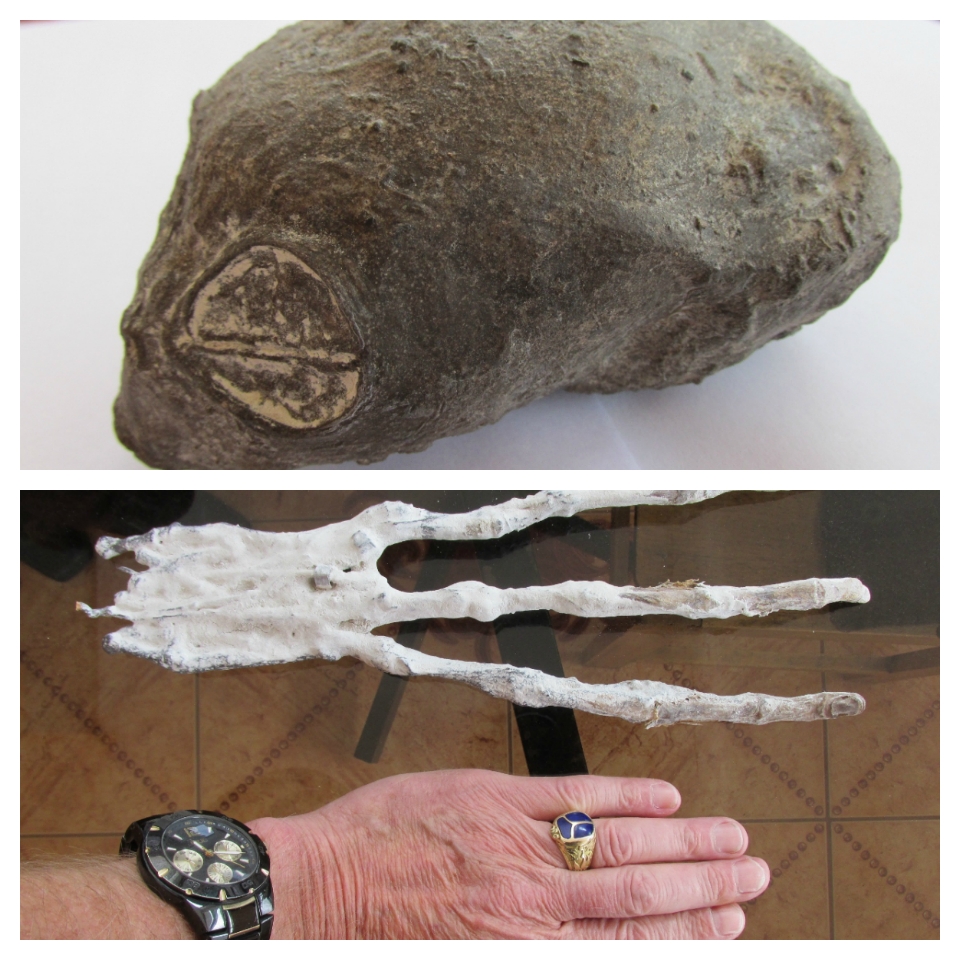 Strange Organic Artifacts Found Near Nazca In Peru: Evidence Of Ancient ...