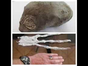 Two Strange Organic Artifacts Found In The Desert Of Nazca In Peru