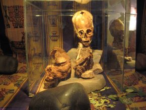 Paracas Elongated Skull Update: Ancient Aliens Series DNA Tests
