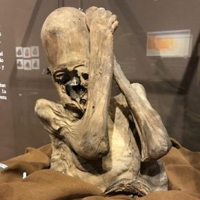 Remarkable Ancient Paracas Mummy On Public Display In Lima Peru