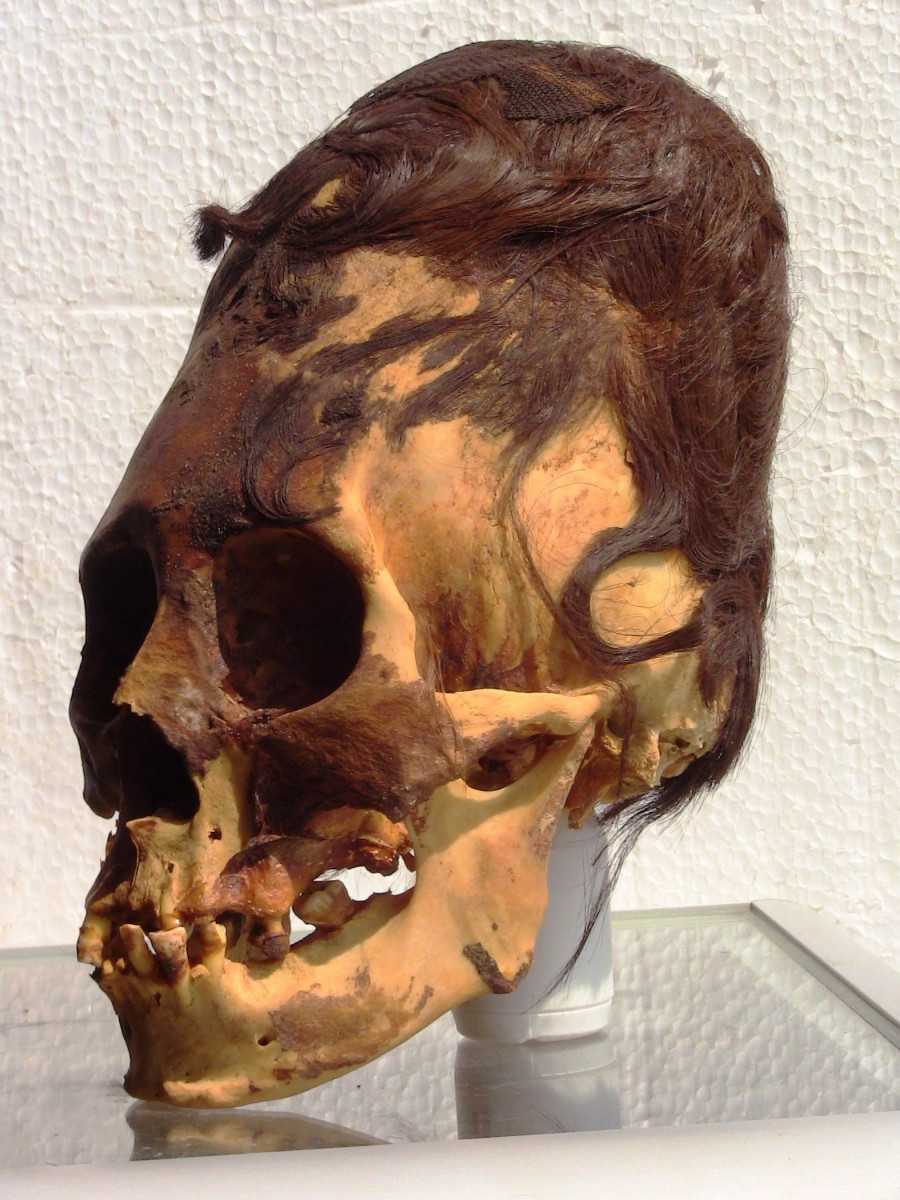 Changing Human History: The Amazing Paracas Elongated Skull Results -  Hidden Inca Tours