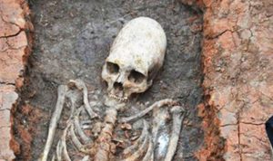 Elongated Skulls From Ancient Russia And Black Sea Areas ...