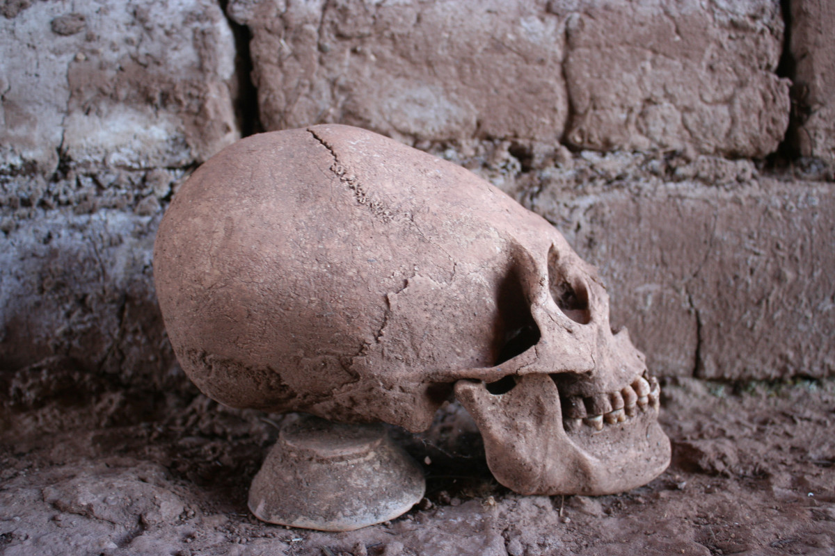 Coneheaded Human Skulls Found In Latin America Are Not